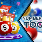 Paito SDY Lotto Warna